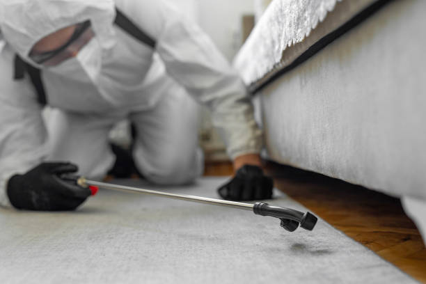 Professional Pest Control technician working in Audubon, NJ