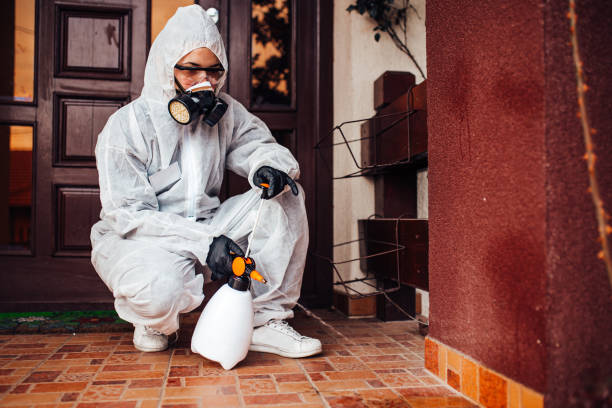 Reliable Bed Bug Control contractor in Audubon, NJ by Nex Pest Control