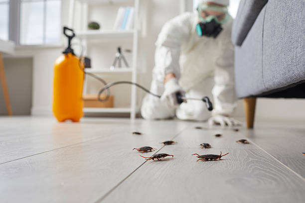Trusted Termite Control service in Audubon, NJ - Nex Pest Control