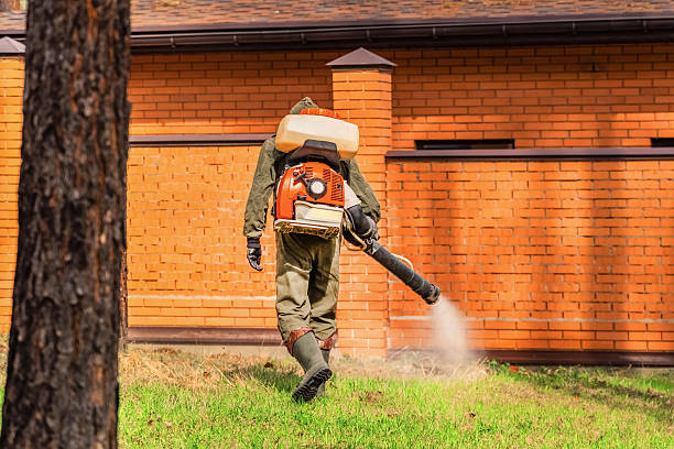 Trusted Bed Bug Control service in Audubon, NJ - Nex Pest Control